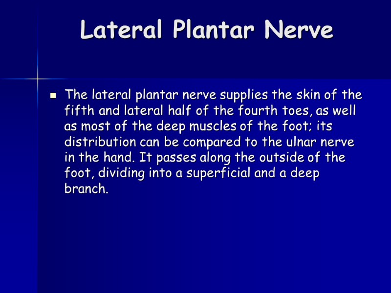 Lateral Plantar Nerve  The lateral plantar nerve supplies the skin of the fifth
